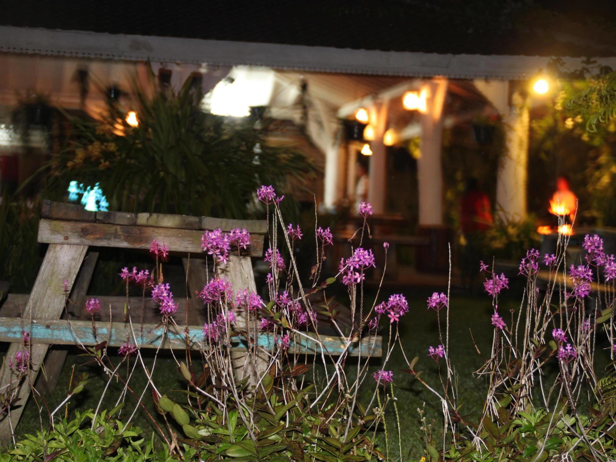 Warung Rekreasi Bedugul Hotel Exteriér fotografie