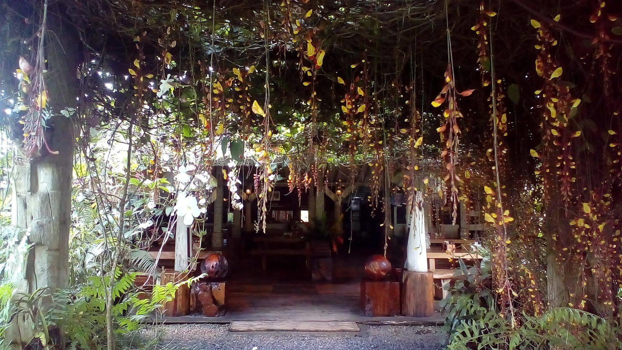 Warung Rekreasi Bedugul Hotel Exteriér fotografie